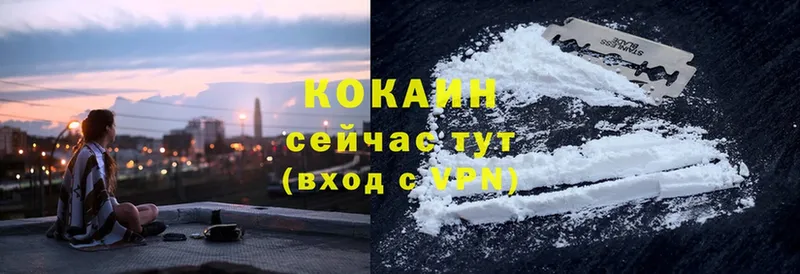 Cocaine Fish Scale  Севастополь 